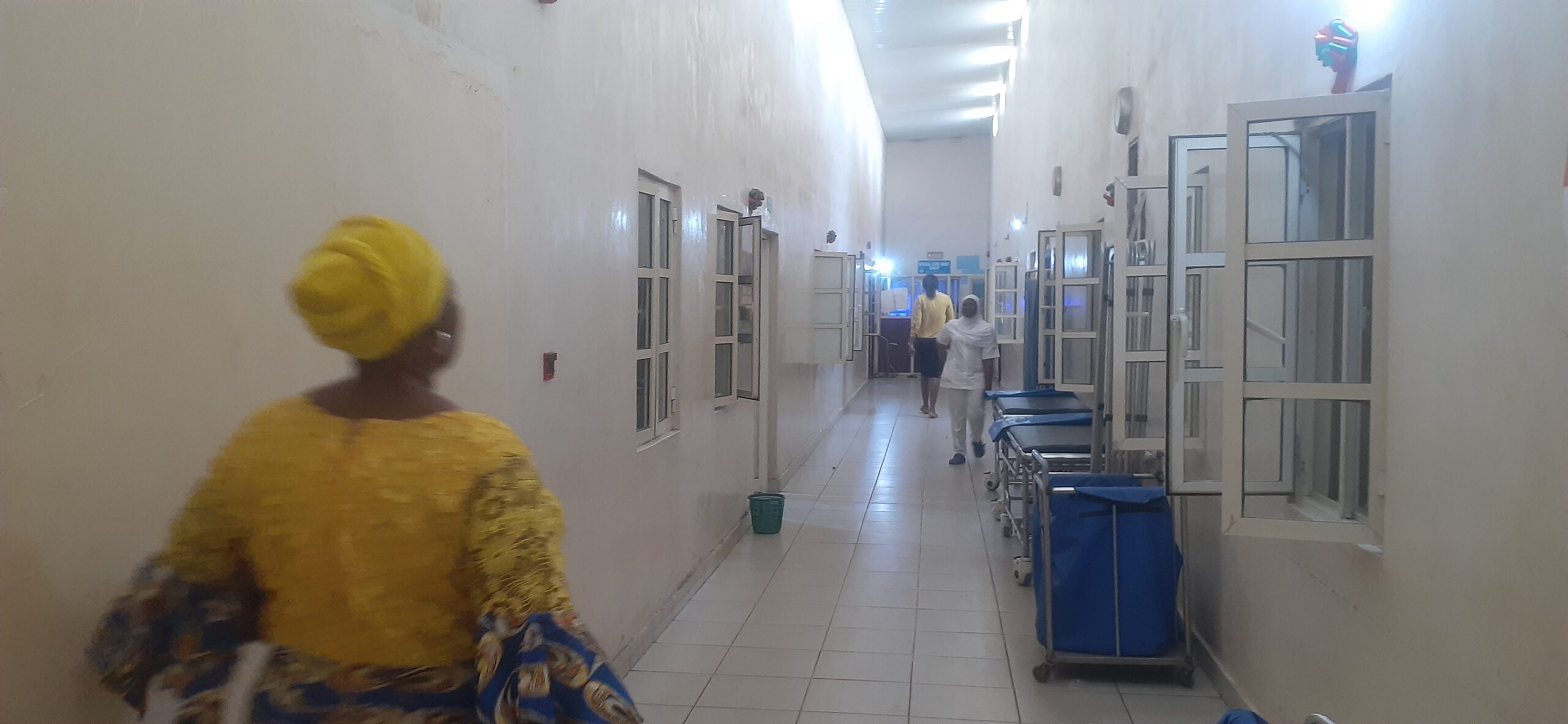 20230720_130824 scaled