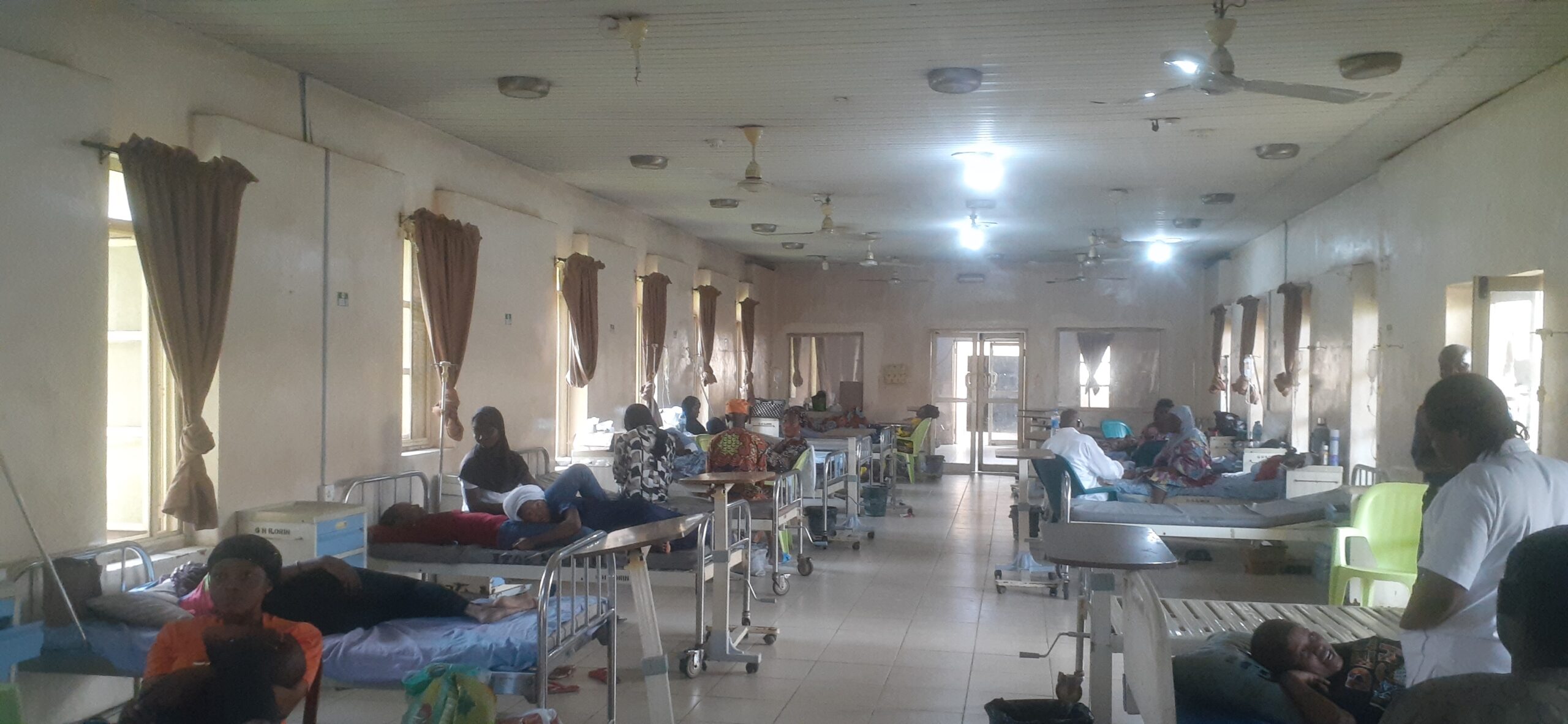 20230720_125830 scaled